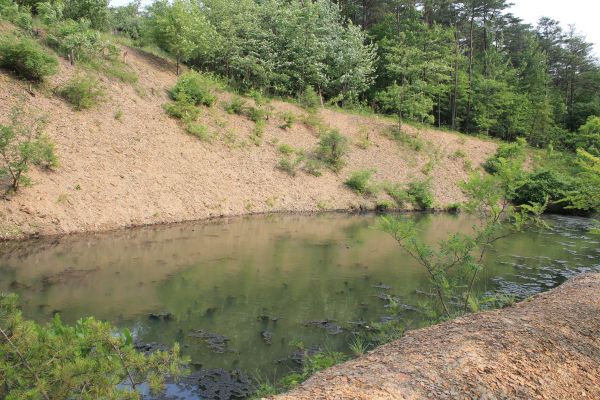 Cost of Pond Erosion Repair in West Lafayette