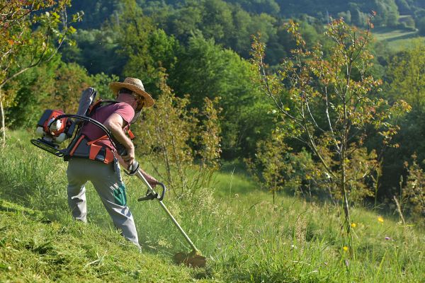 Cost of Slope Trimming in West Lafayette